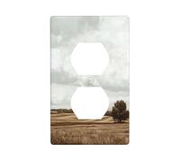 Cubierta de interruptor de luz de campo abierto vintage con cubierta de salida de granja, decorativa, 1 banda, placa de pared para cocina, baño, tamaño 7 x 11,4 cm