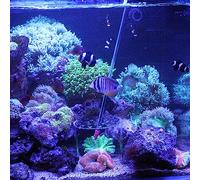 Cubierta de protección para cría de CoralFeeding, Cubierta de protección para cría de ReefFeeding, Cubierta de acrílico Transparente CoralFeeder, con Tubo de alimentación de, (120mm)