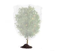 Cubierta de red para plantas con cremallera y cordón para un fácil acceso y protección contra insectos en entornos de jardín (1,8 x 1,8 m)