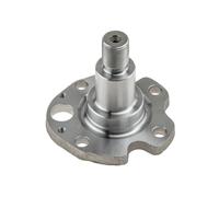 Cubo Trasero VW Golf IV 97-05, Audi A3 96-03, Skoda Octavia -10 , Roomster 06