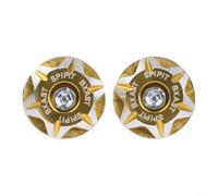 Cubierta de tornillo para matrícula de motocicleta, 2 piezas para agujeros de 6 mm, aleación de aluminio con alta resistencia a la oxidación, el desgaste y la presión del viento (dorado)