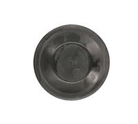 Cubierta, Faro delantero TRUCKLIGHT HR-DA002