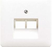 Cubierta joven CD569-2UAPT - para enchufe de pared IAE/EAU, metal IP20, plati...