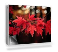 Cubierta Magnética 80x60 cm Magnético Panel Decorativo Fácil Instalación para Radiador Protección contra el Polvo y Daños Protector - Naturaleza otoño Hojas de Arce en el árbol