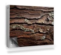 Cubierta Magnética 80x60 cm para Radiador Magnético Panel Decorativo Protección contra el Polvo y Daños Protector Fácil Instalación - Textura de Corteza de árbol de Madera Vieja