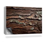 Cubierta Magnética 90x60 cm para Radiador Magnético Panel Decorativo Protección contra el Polvo y Daños Protector Fácil Instalación - Textura de Corteza de árbol de Madera Vieja