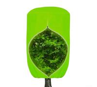 Cubierta para plantas de cúpula de protección contra heladas de invierno con cremallera de doble cierre y cordón ajustable para arbustos y árboles frutales (75 x 90 pulgadas, verde)
