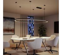 Paulmann 98208 Linion-Cubierta para bicicleta, color negro mate, 1,0 m