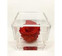 Cubo con rosa conservada roja 8 x 8 x 8 cm - El cubo con rosa es una rosa auténtica y verdadera que dura 5 años - Flor conocida también como Rosa Eterna Roja, no necesita agua ni luz