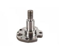 Cubo de la rueda Eje trasero 55011622901 vika para SKODA VW