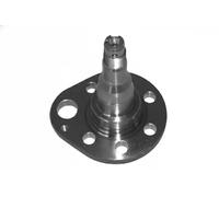 Cubo de la rueda Eje trasero, derecha 90540 Metalcaucho para VW SEAT