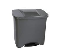 Denox DEN113 Pedalbin Ecológico 50 litros, Metal, 475x360x480 mm