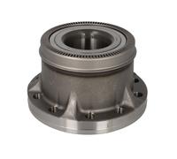 Cubo de rueda SNR HDS005