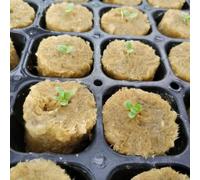 Cubos de medios de cultivo para una propagación eficaz de plantas, iniciador ligero, buena permeabilidad al aire, fuerte absorción de agua, verde, 50 unidades, 2,7 x 2 cm, adecuados para cultivo sin