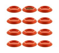 Cucarachas - Plato Isópodos, Juego 12 Tazones Colores | Doce Cuencos Antideslizantes Terrario | Recipientes Comida Invertebrados Pequeños, Hábitat