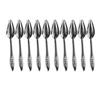 Cuchara de alimentación de pájaros de metal, 10 jeringas de mano de acero inoxidable alternativas, alimentador líquido de medicina de punta larga, herramienta ligera para criar aves de corral para