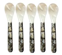 Cucharas de caviar - 10 centímetros nacarados, lote de 5 piezas, mango redondo, servidor decorativo | Cáscara natural para caviar huevo helado degustación lujo vajilla aparador gourmet accesorio