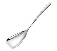 Cucharas de servir para buffet, cucharas de metal que sirven | Cucharas de servicio grandes | Utensilios de acero inoxidable