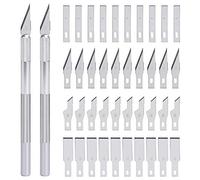 Cuchillos de Arte de Precisión Escalpelo Manualidades Cutter Incluye 2 Asas y 40 Cuchillas de Repuesto Cuchilo de Tallar Hobby Knife 42 PCS