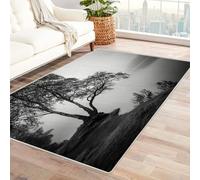 CUDAOO Alfombra Moderna con patrón geométrico, Pelo Corto Abedul Junto a un Lago brumoso para Sala de Estar, Oficina, Mesa de café, Cama, balcón（En Blanco y negro-120x180cm