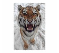 CUDAOO Arte de pared de tigre pintura en lienzo de animales en imagen de vida silvestre Tigres furia de nieve para oficina en casa（Multicolor-20x30cm Sin marco
