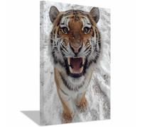 CUDAOO Arte de pared de tigre pintura en lienzo de animales en imagen de vida silvestre Tigres furia de nieve para oficina en casa（Multicolor-40x60cm Enmarcado