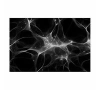 CUDAOO Cuadros abstractos Arte Abstracto Moderno de Línea Geométrica Redes neuronales para sala de estar, dormitorio decoración moderna para el hogar（Blanco y negro08-40x60cm Sin marco