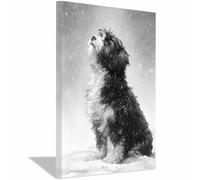 CUDAOO Divertido Arte de Pared de Animales Humor Perro Contemplando la nevada Para Cocina, Baño, Decoración de Dormitorio（blanco y negro-60x90cm Enmarcado