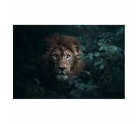CUDAOO Divertido lienzo de león para arte de pared Canciones de Hidden Lions para mujeres, hombres, dormitorio, baño, decoración del hogar(Gris oscuro-60x80cm Sin marco