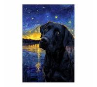 CUDAOO Impresiones de Lienzo de Animale Lindo,Impresión En Lienzo De Perro Contemplando las estrellas Imagen sobre para Decoración del Hogar Oficina（negro-60x90cm Sin marco