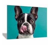 CUDAOO Impresiones de Lienzo de Animale Lindo,Impresión En Lienzo De Perro Lengua fuera Imagen sobre para Decoración del Hogar Oficina（naranja-20x30cm Enmarcado