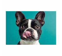 CUDAOO Impresiones de Lienzo de Animale Lindo,Impresión En Lienzo De Perro Lengua fuera Imagen sobre para Decoración del Hogar Oficina（naranja-60x90cm Sin marco