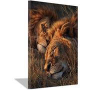 CUDAOO León Cuadro En Lienzo/Póster Los leones duermen bien Estilo Artístico Arte De Pared Para Cocina&Salón(Marrón-70x100cm Enmarcado