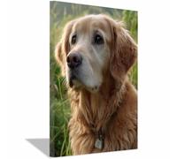 CUDAOO Lienzo decorativo para pared con diseño de perro Contemplando la distancia dormitorio, oficina, decoración del hogar（dorado-60x80cm Enmarcado