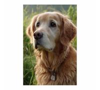 CUDAOO Lienzo decorativo para pared con diseño de perro Contemplando la distancia dormitorio, oficina, decoración del hogar（dorado-60x90cm Sin marco