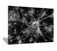 CUDAOO Pintura abstracta sobre lienzo arte moderno de pared Redes neuronales para sala de estar, dormitorio una decoración única del hogar（Negro21-60x90cm Enmarcado