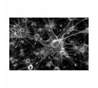 CUDAOO Pintura abstracta sobre lienzo arte moderno de pared Redes neuronales para sala de estar, dormitorio una decoración única del hogar（Negro21-60x90cm Sin marco