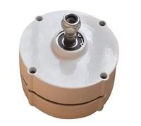 CUDTAPI Generador de imán Permanente, alternador de CA de 200W, 12V, 24V, for turbina eólica Vertical u Horizontal, par de Arranque bajo y RPM(24VAC)