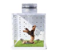 Cuenca de reptiles - Recinto transparente para ranas, hábitat para pequeñas mantis religiosas | Comedero para terrarios de caracoles, pequeña cuenca de reptiles con luz, pequeña piscina de reptiles