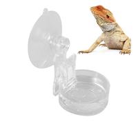 Cuenco alimentador para reptiles - Feeding bowl - Cat feeding bowl - Reptile feeder with suction cup | Habitat decoration, water bowls for lizards, spiders, tree frogs and chameleons. Adhesive