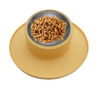 Cuenco antideslizante para mascotas, cuenco antideslizante de silicona de acero inoxidable - Cuenco a prueba de fugas para cachorros | Para mascotas alimentación agua viajes casa perrera perros