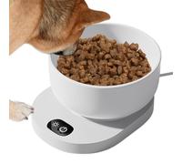 Cuenco calefactable para mascotas | Cuenco de agua caliente para gatos - Agua caliente a 35 °C, con control de temperatura constante para pájaros, pollos, patos