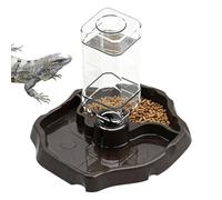 Cuenco de agua de tortuga terrestre | Escala desmontable resistente a las roturas - de Reptiles | Para Lagartos Geckos Camaleones Tortugas Ranas Otras Pequeñas Mascotas En Terrario Y Tanque