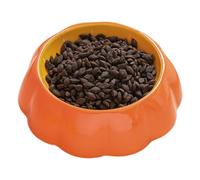 Cuenco de Agua para Gatos Plato Cerámico con Estampado de Frutas