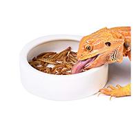 Cuenco de agua para reptiles, 2 piezas de cerámica para gusanos, comedero de agua antiescape, cuenco de gusano de harina para dragón barbudo lagarto, S, M, L) (grande)
