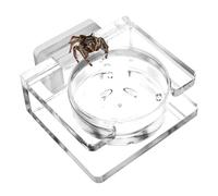 Cuenco de agua para reptiles, acrílico, 5 x 4,5 x 2 cm, cercado para | Cuenco de agua | Cuenco compacto y transparente para reptiles, tarántulas, arañas e invertebrados pequeños. Hidratación