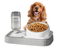 Cuenco de Agua y alimento para Gatos - Dispensador automático 2 en 1 para alimentación Lenta, Doble Cuenco para de 12,6 x 7,68 x 5,12 Pulgadas para Gatos, Cachorros, Mascotas, hogar