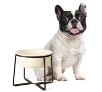 Cuenco de cerámica para perros con soporte de metal, cuenco elevado para comida o agua, plato para mascotas para perros pequeños a medianos, color beige