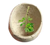 Cuenco De Cerámica Para Retirar Hierbas, Cuenco Para Hojas De Verduras De Hoja Con 4 Agujeros, Herramienta Multiusos Para Pelar Verduras De Hoja, Ensaladas, Batidos Y Guarniciones