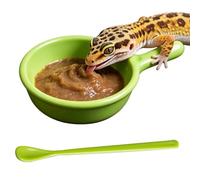 Cuenco De Comida Para Reptiles Contenedor Arañas Con Cuchara | Cuenco Alimento s Cuidadores Criadores Amantes De Animales Terrario Recinto Ermitaño Tarántula